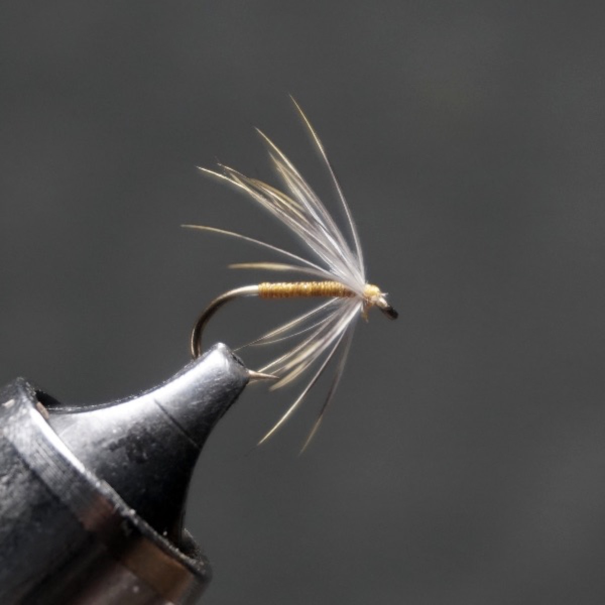 Light Watchet fly pattern tied by Christian Andrews