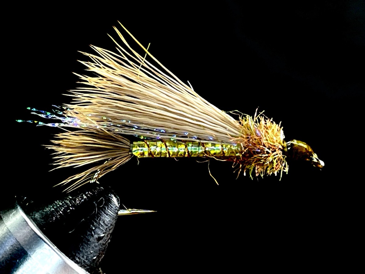 Costal Muddler fly pattern tied by Brent Jones