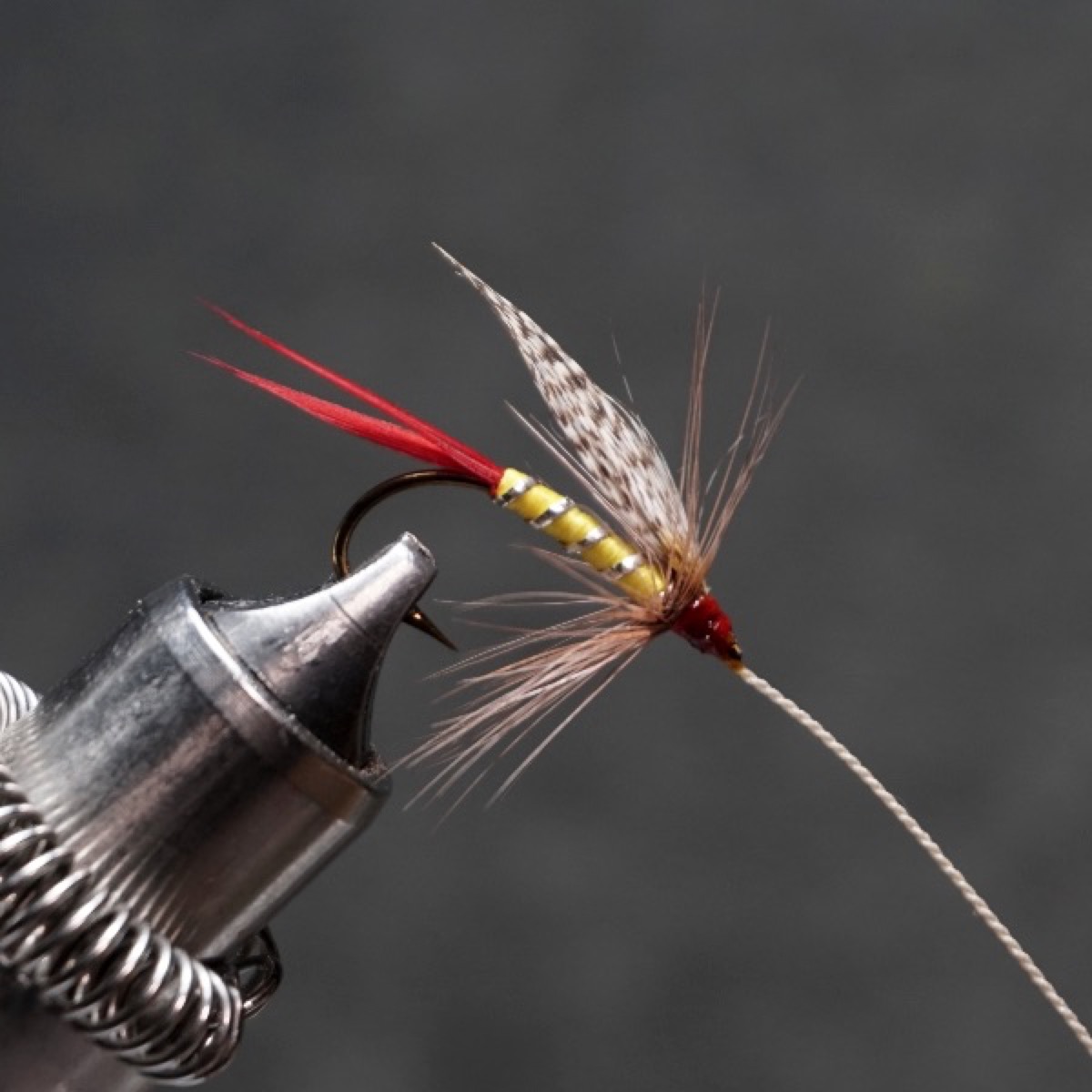 Professor fly pattern tied by Christian Andrews