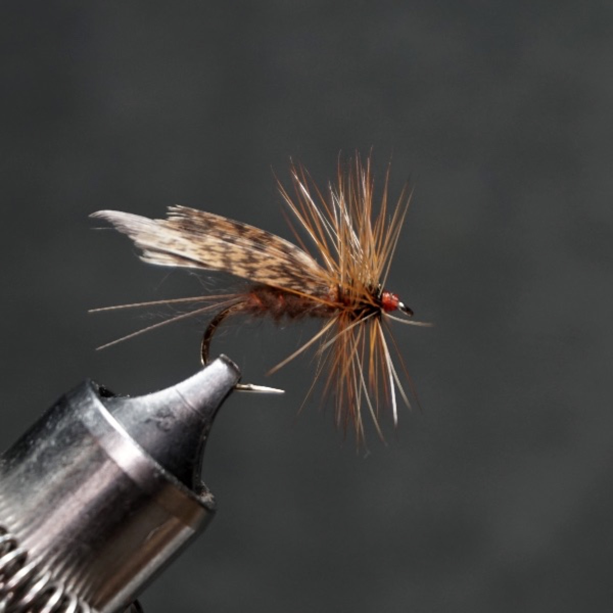 Bird’s Stonefly (original brown) fly pattern tied by Christian Andrews