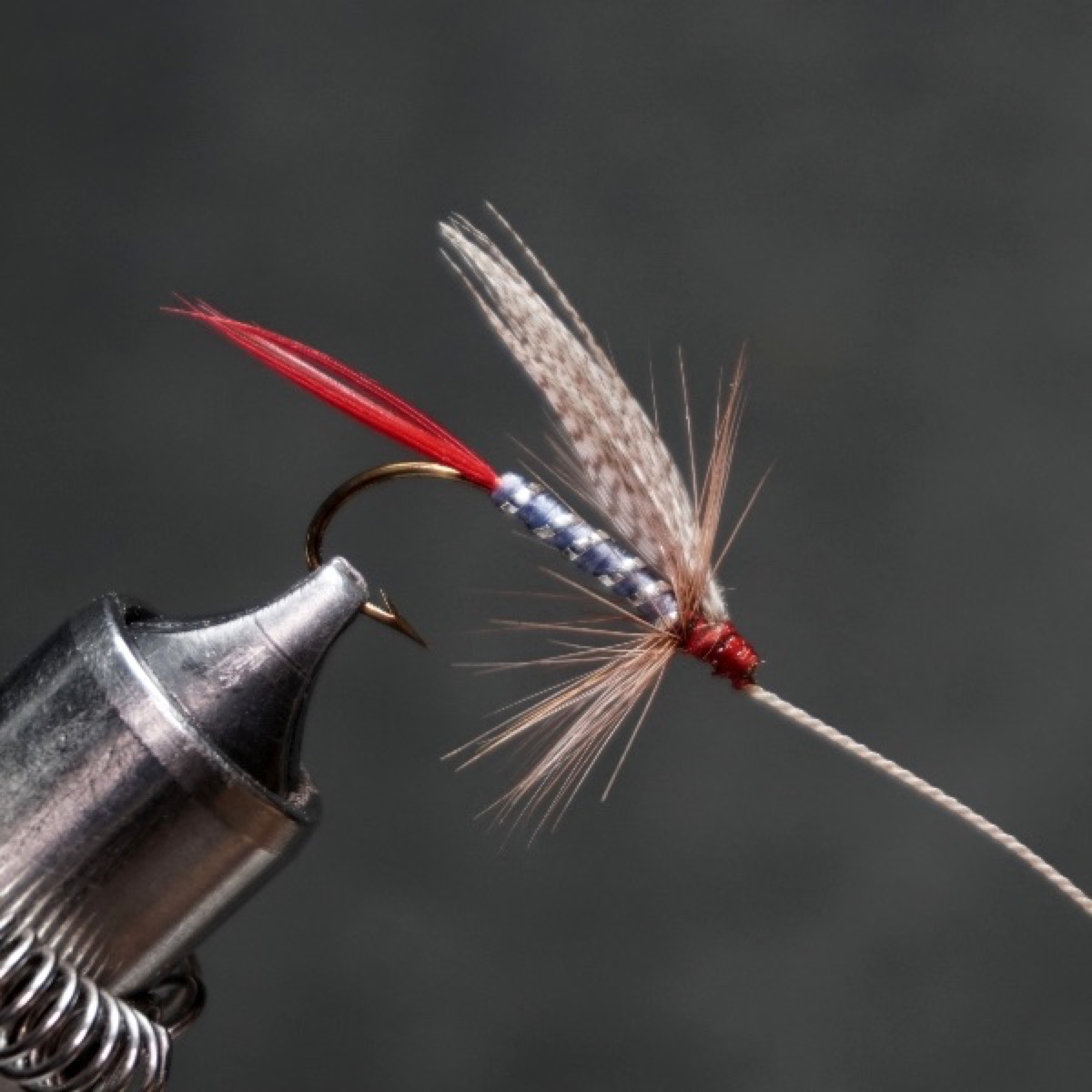 Blue Professor fly pattern tied by Christian Andrews