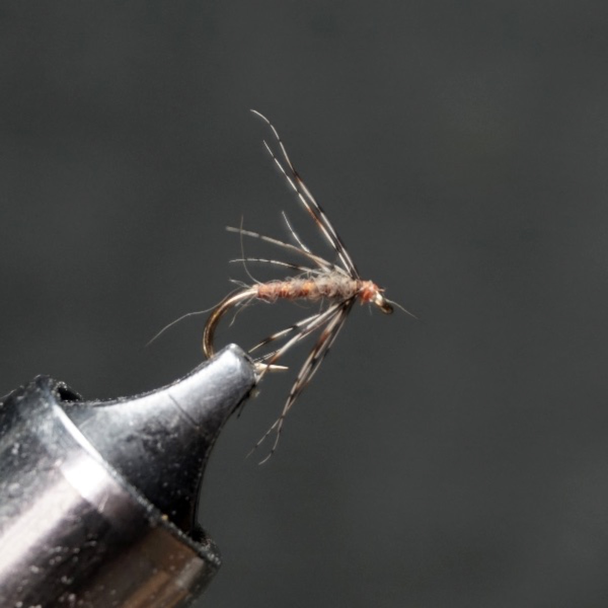 Hackled Derbyshire March Brown fly pattern tied by Christian Andrews