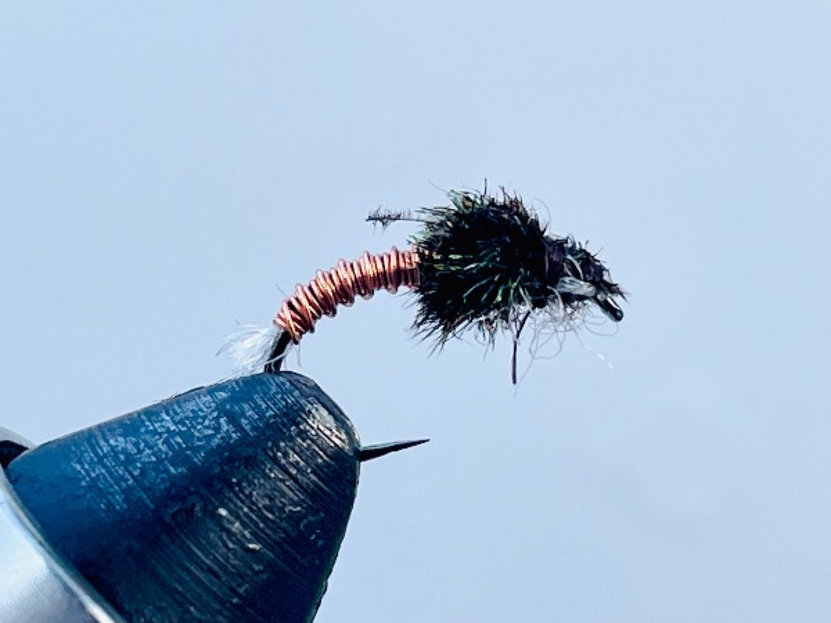 Frostbite Chironomid pupa, light Emerger fly pattern tied by Brent Jones