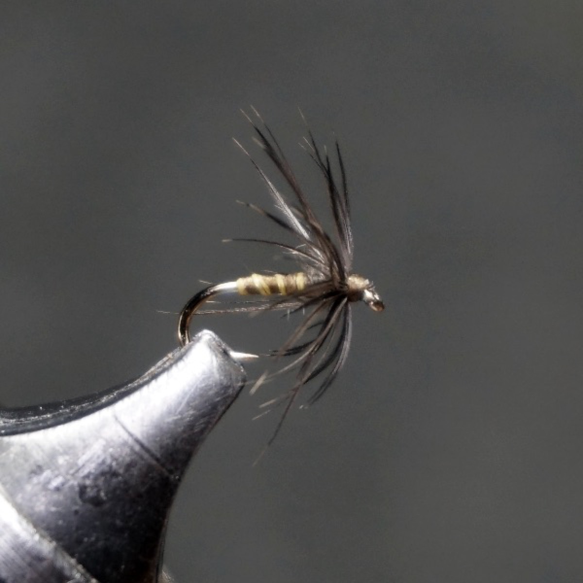 Starling and Olive fly pattern tied by Christian Andrews