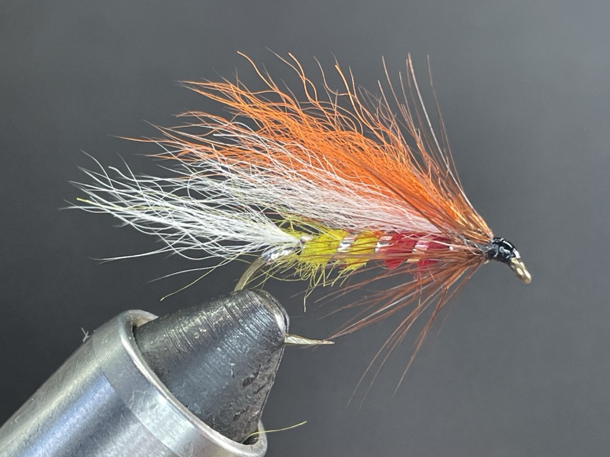 Umpqua Special fly pattern tied by Brent Jones