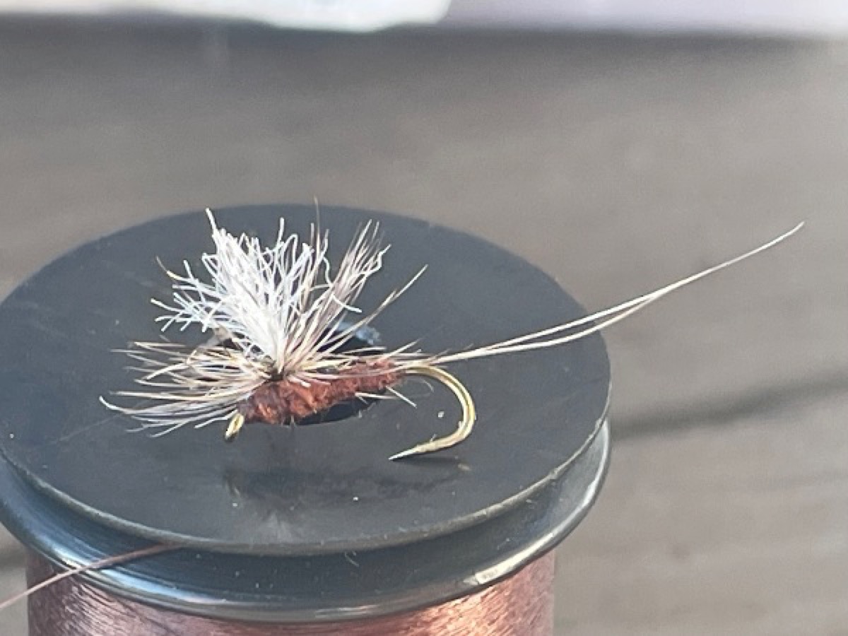 Rusty Para-Spinner fly pattern tied by Brent Jones