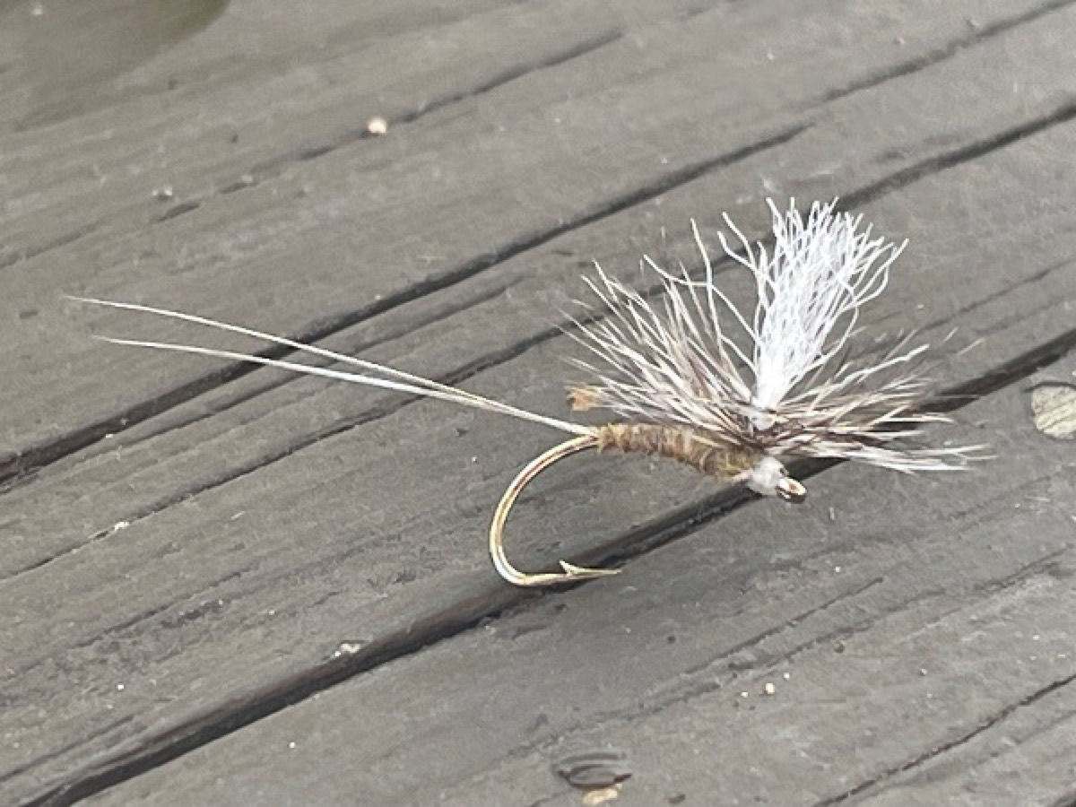 Low Rider Callibaetis Parachute fly pattern tied by Brent Jones