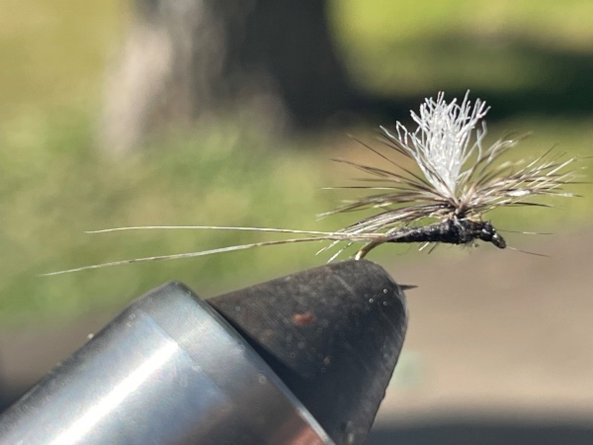 Trico Parachute fly pattern tied by Brent Jones