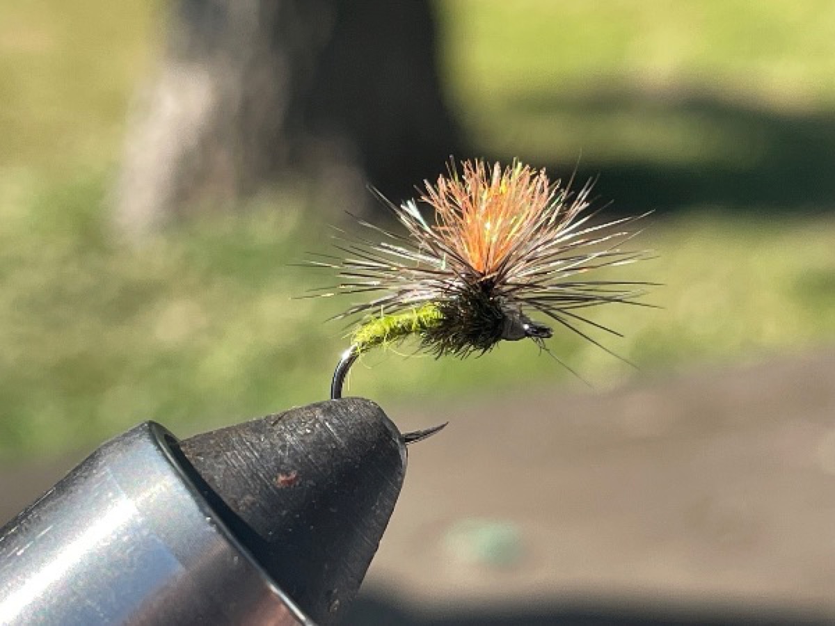Green Para-Pupa fly pattern tied by Brent Jones