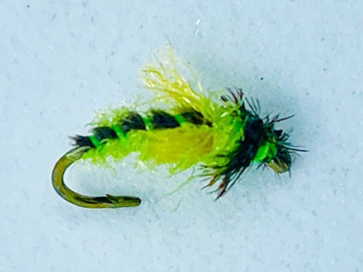 Z-Wing Caddis Pupa (Mike Mercer, slight variation) fly pattern tied by Brent Jones