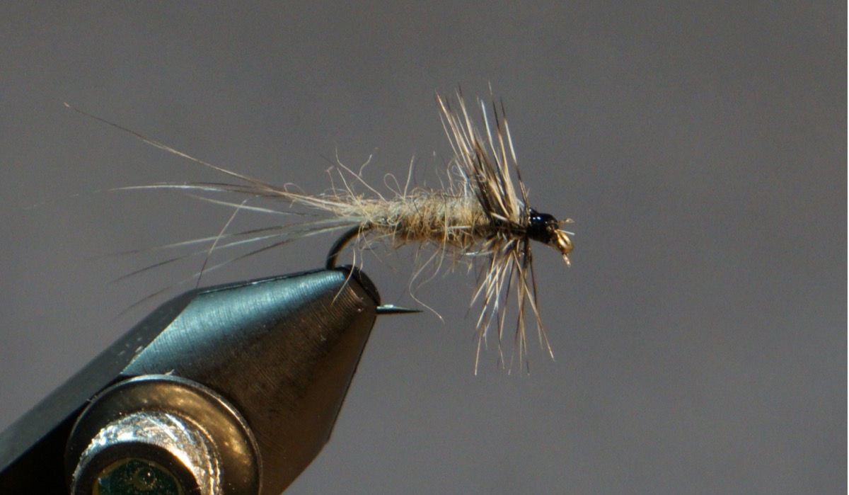 Adams Midge fly pattern tied by Christian Andrews