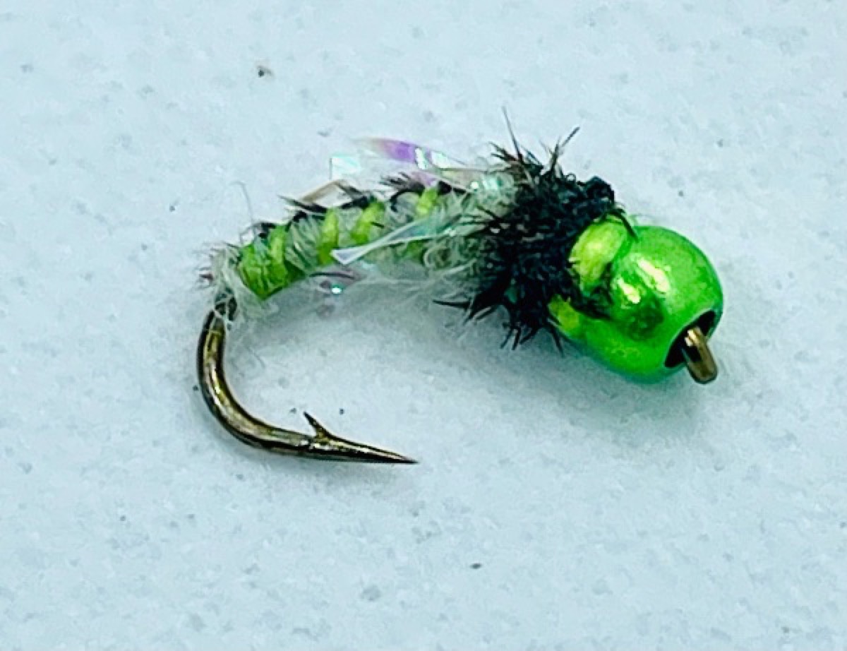 KF Lime Caddis Pupa fly pattern tied by Brent Jones