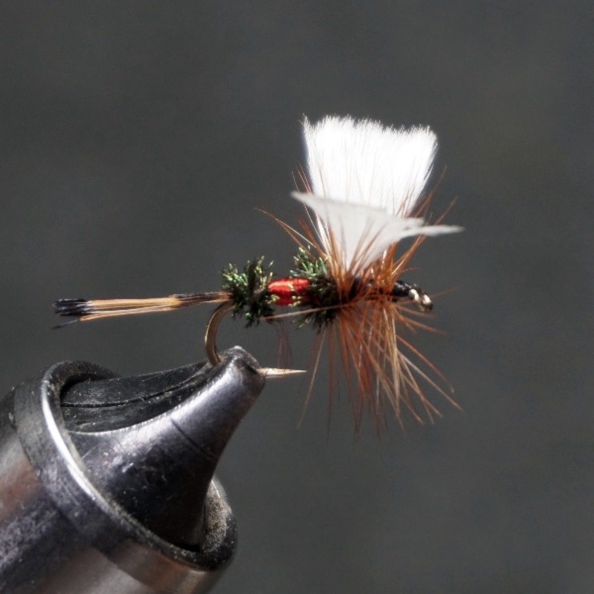 Fanwing Royal Coachman fly pattern tied by Christian Andrews