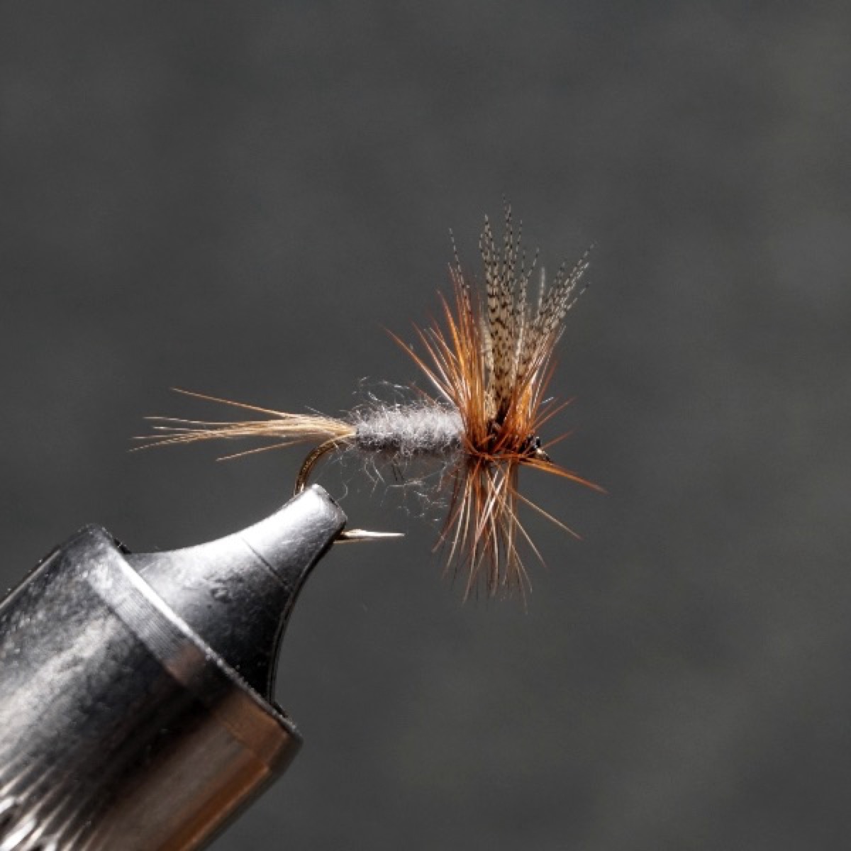 Dark Cahill fly pattern tied by Christian Andrews