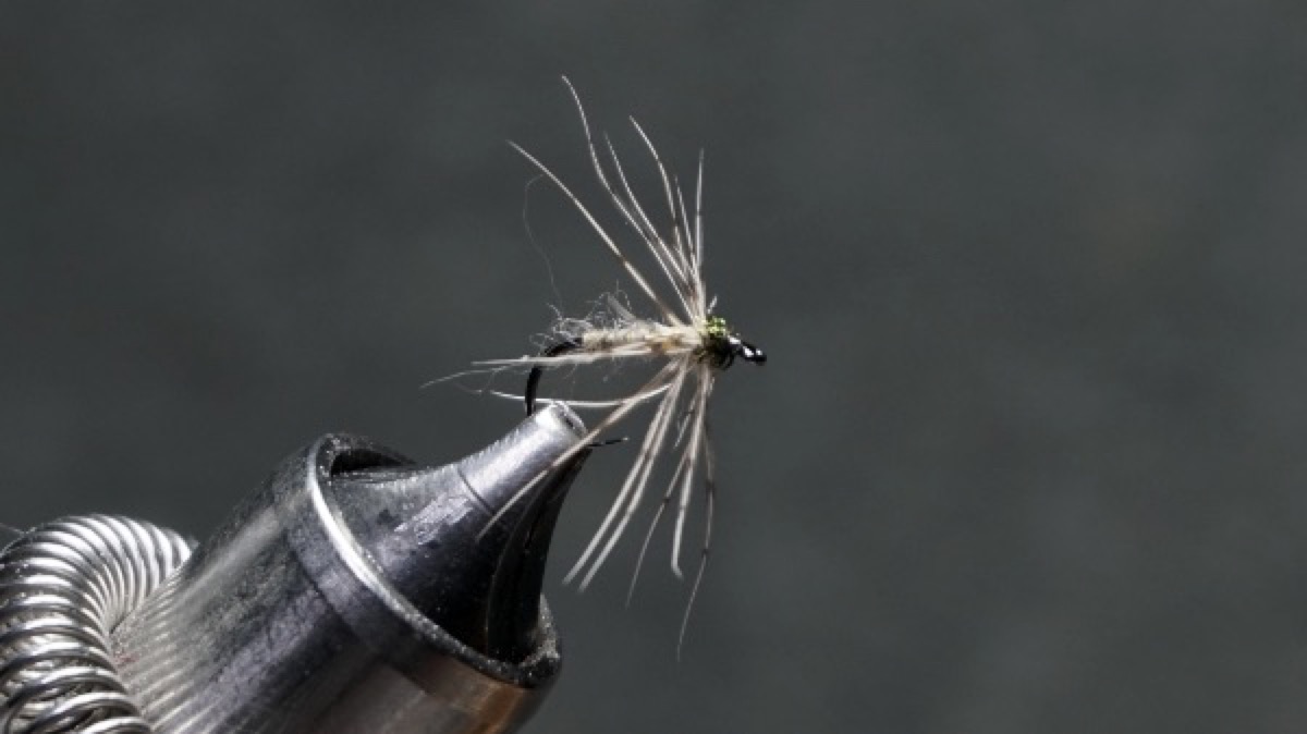 T. E. Pritt No. 55: Cinnamon fly pattern tied by Christian Andrews
