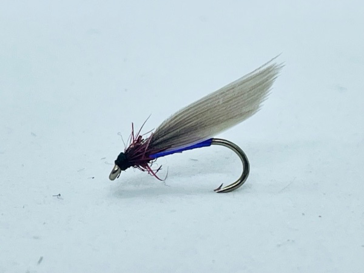 Chucker and Purple fly pattern tied by Brent Jones