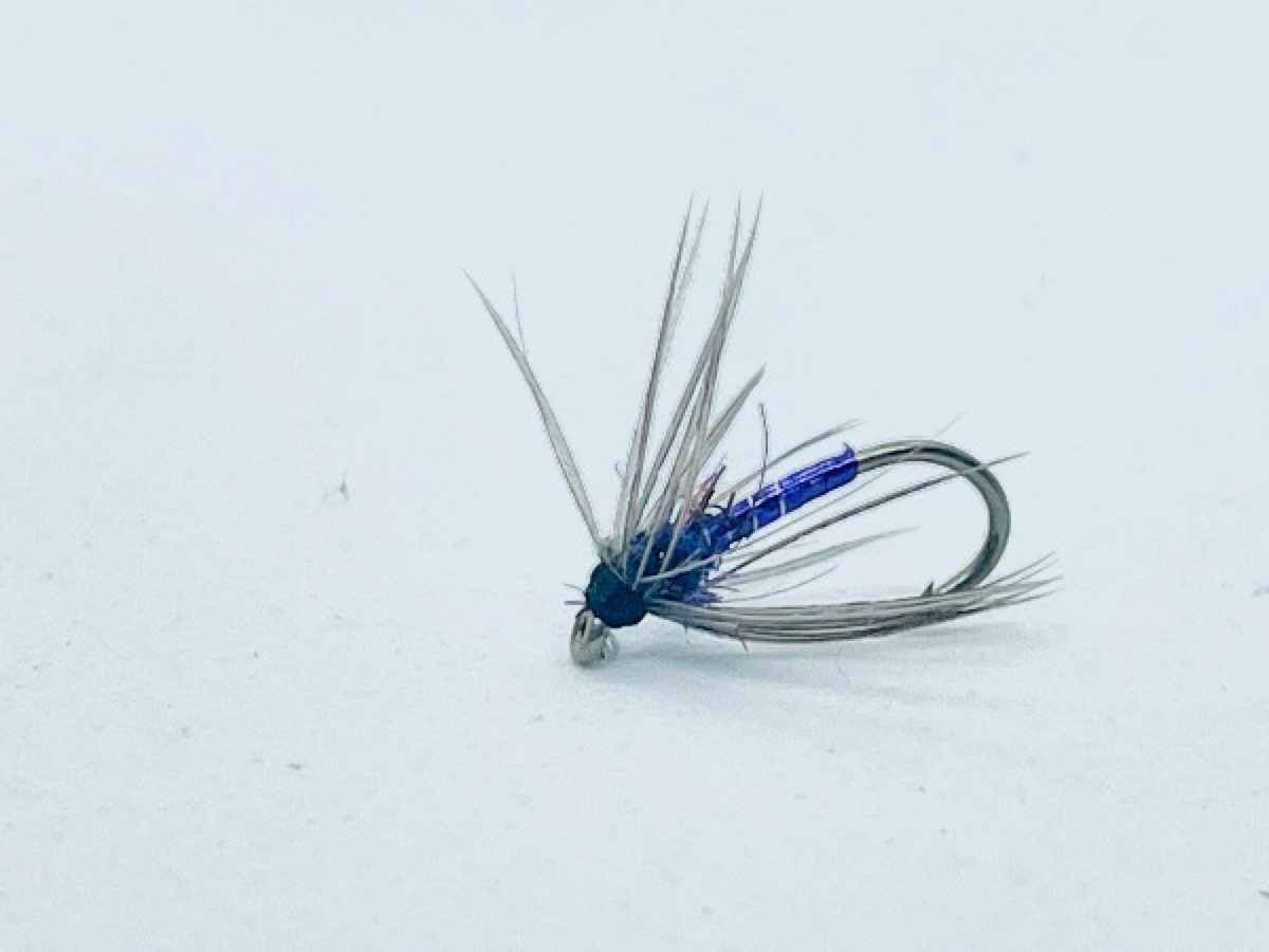 Purple and Chucker Spider fly pattern tied by Brent Jones