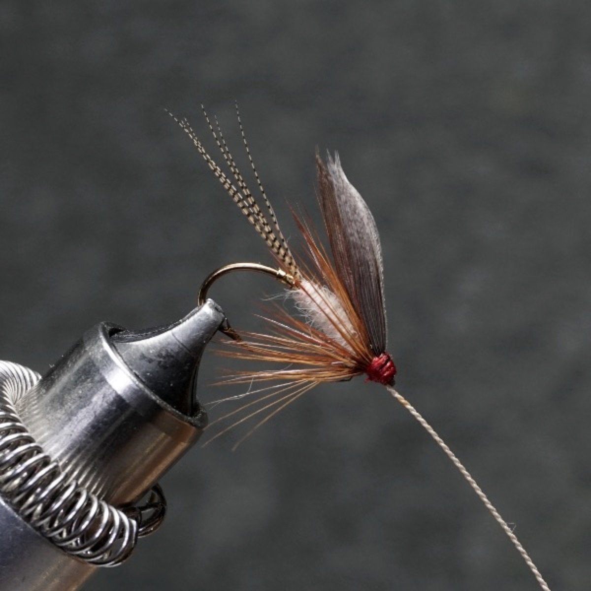 Red Fox fly pattern tied by Christian Andrews