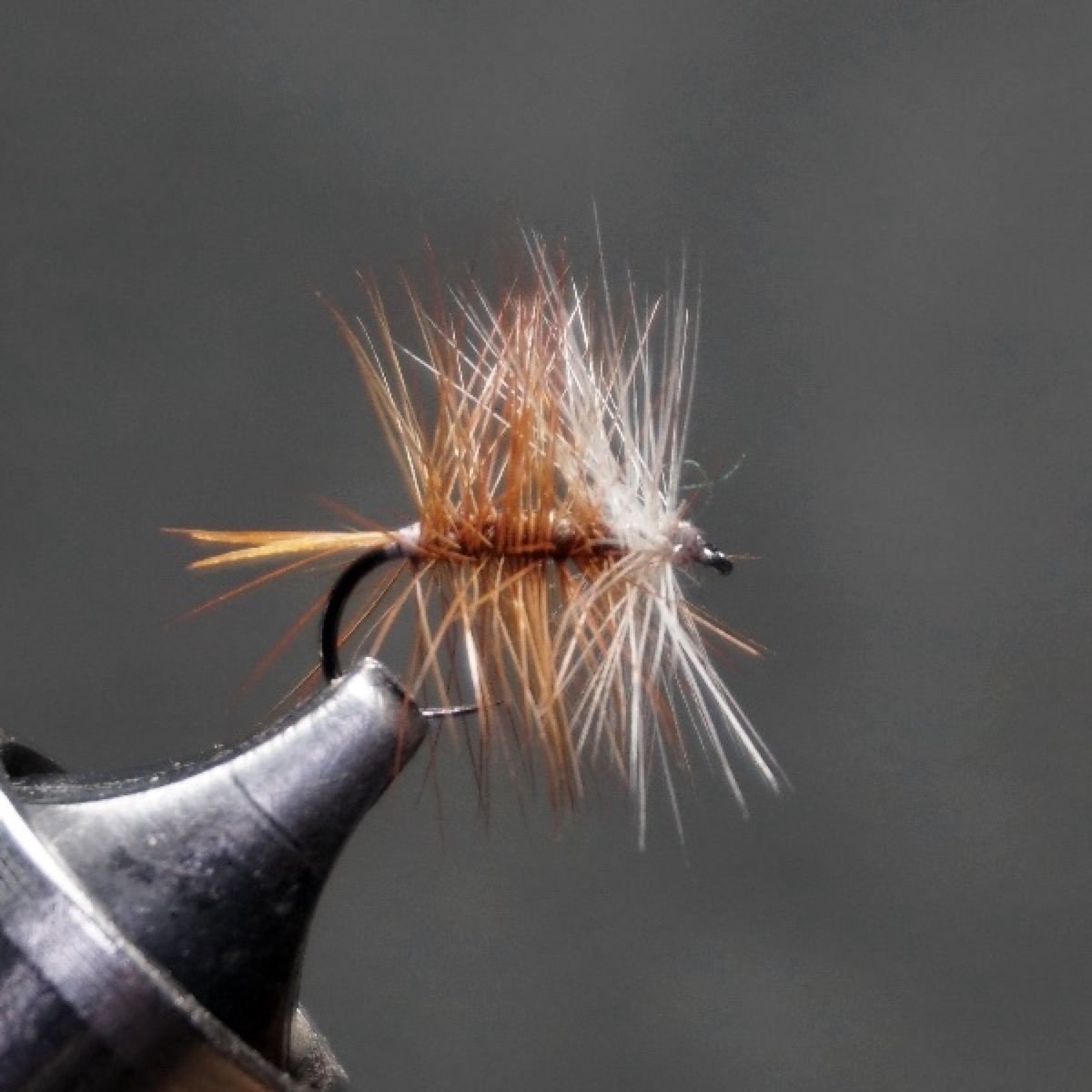 Brown Bivisible fly pattern tied by Christian Andrews