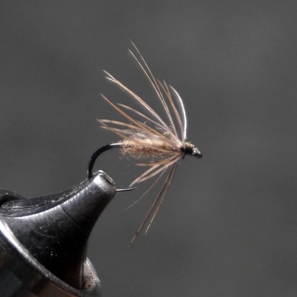 Partridge Hackle fly pattern tied by Christian Andrews
