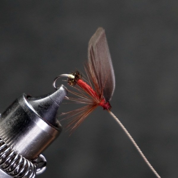 Red Ant fly pattern tied by Christian Andrews