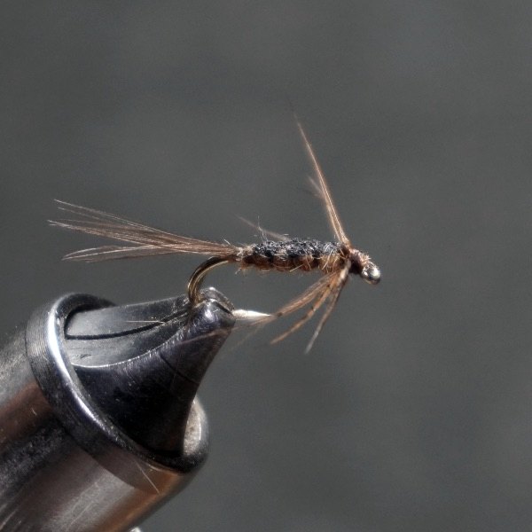 Flat-Bodied Nymph fly pattern tied by Christian Andrews