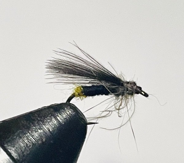 Little Black Egg Layer Stone fly pattern tied by Brent Jones