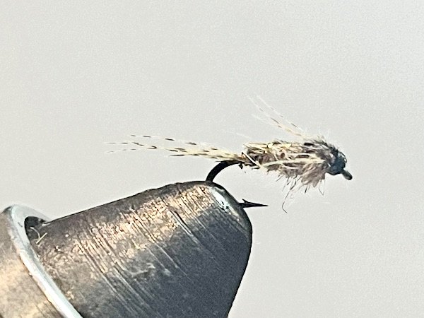 Anglers Curse Nymph ( Caenis ) fly pattern tied by Brent Jones