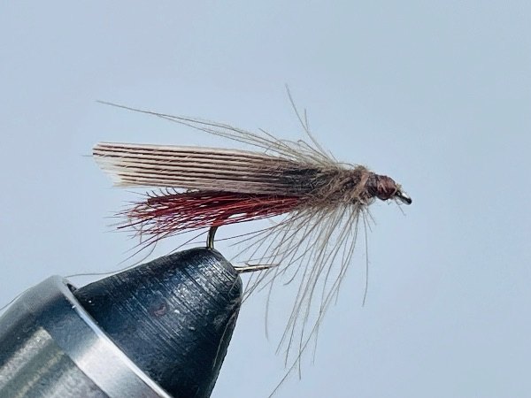 Needle Fly ( Leuctra / Euleuctra ) Adult fly pattern tied by Brent Jones