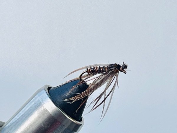 Needle Fly ( Leuctra / Euleuctra) fly pattern tied by Brent Jones