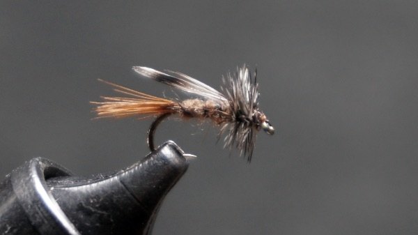 Little Brown Stone fly pattern tied by Christian Andrews