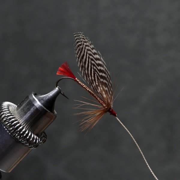 Red Head fly pattern tied by Christian Andrews