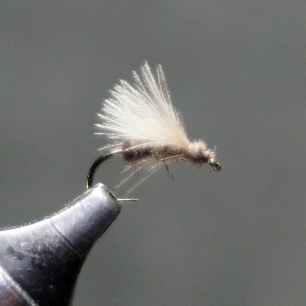 Brown Sedge (MP 53) fly pattern tied by Christian Andrews