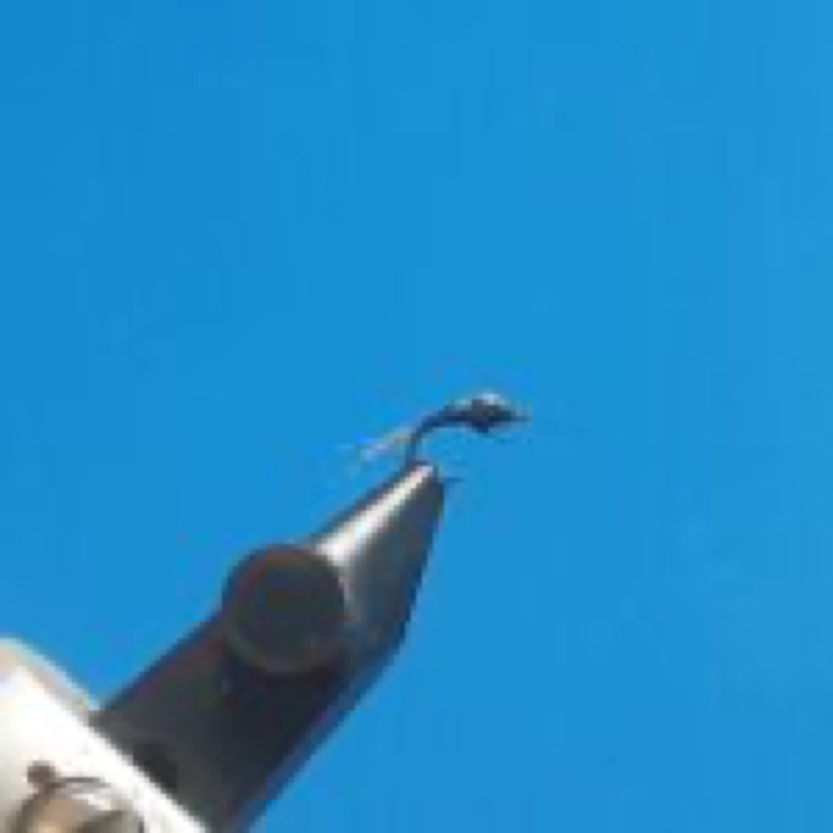 WD-40 (black) fly pattern tied by Al Agelwei