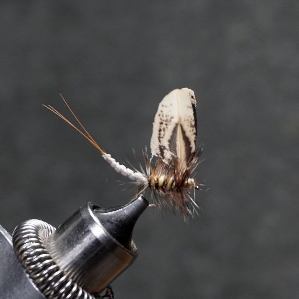Green Drake Dun fly pattern tied by Christian Andrews