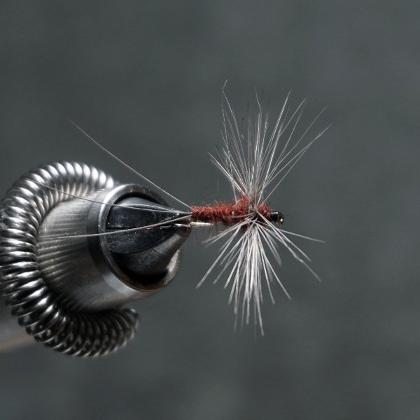 Hendrickson Spinner fly pattern tied by Christian Andrews