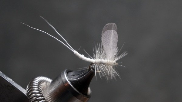 White Mayfly (Ephoron leukon) fly pattern tied by Christian Andrews