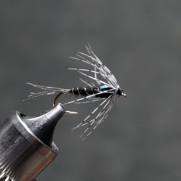 Martinez Black Nymph fly pattern tied by Christian Andrews