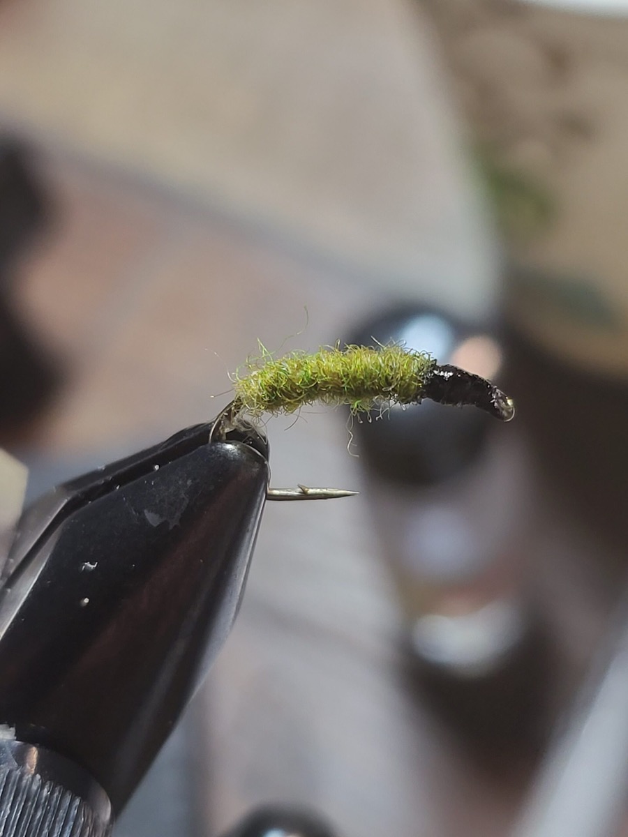 CORDED CADDIS fly pattern tied by Will Arrant