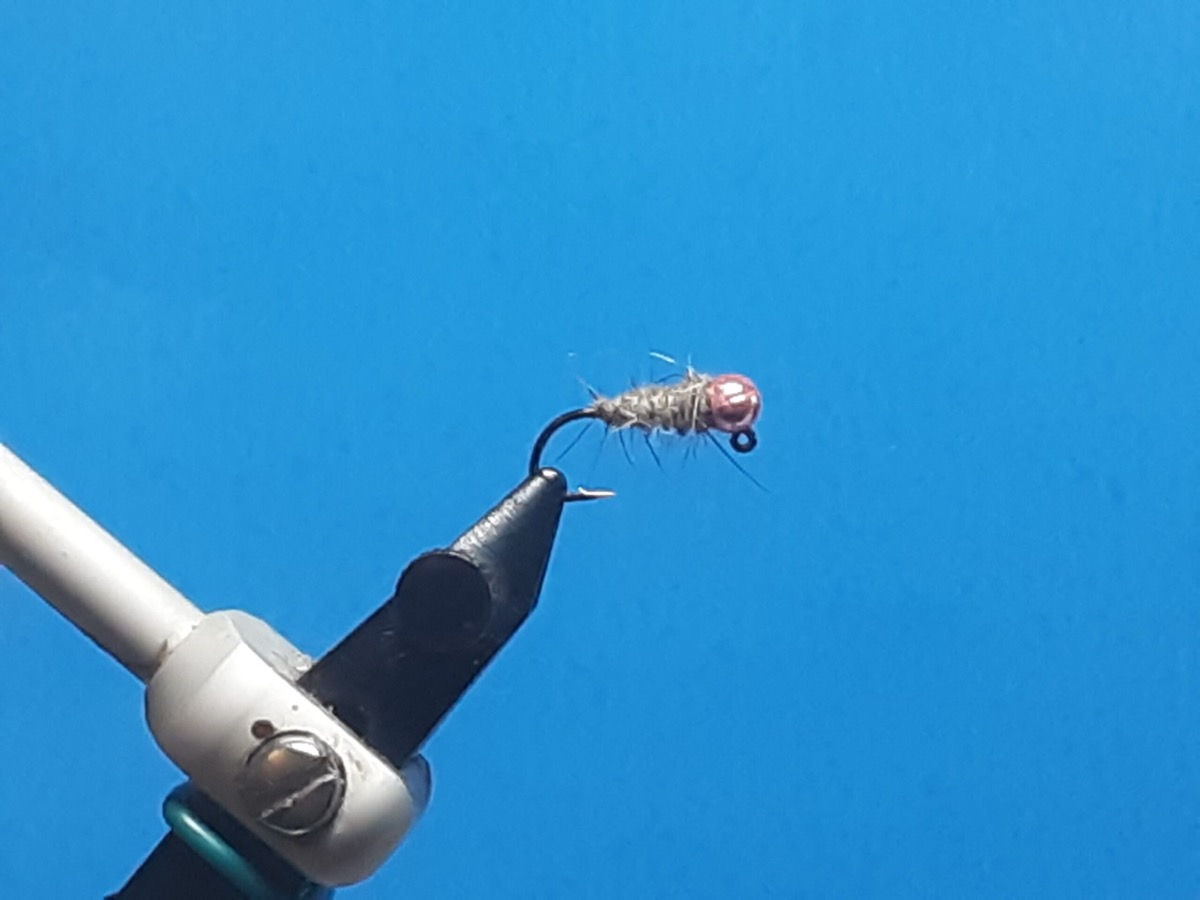 Walt's worm variation fly pattern tied by Al Agelwei
