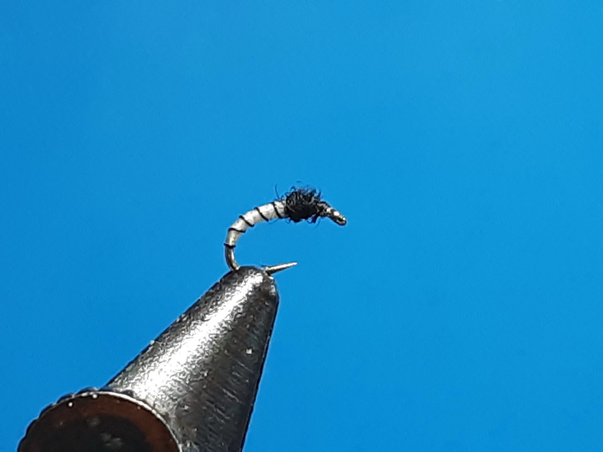 White midge pupa fly pattern tied by Al Agelwei