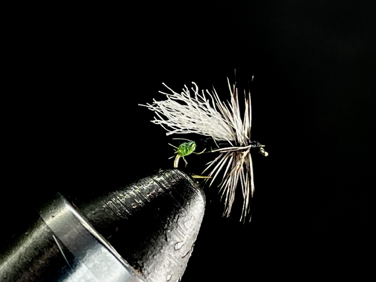 Egg laying black caddis fly pattern tied by Brent Jones