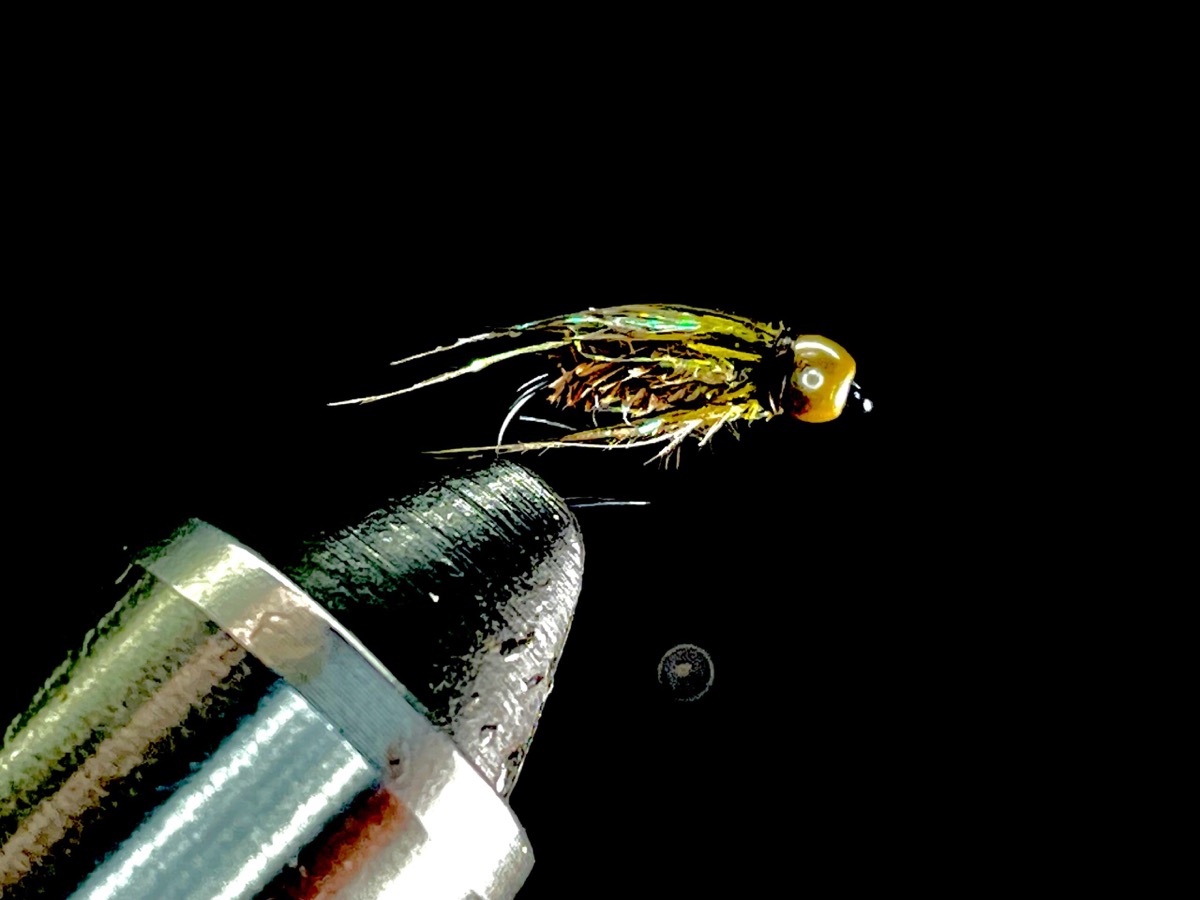 Bead Head Caddis Pupa fly pattern tied by Brent Jones