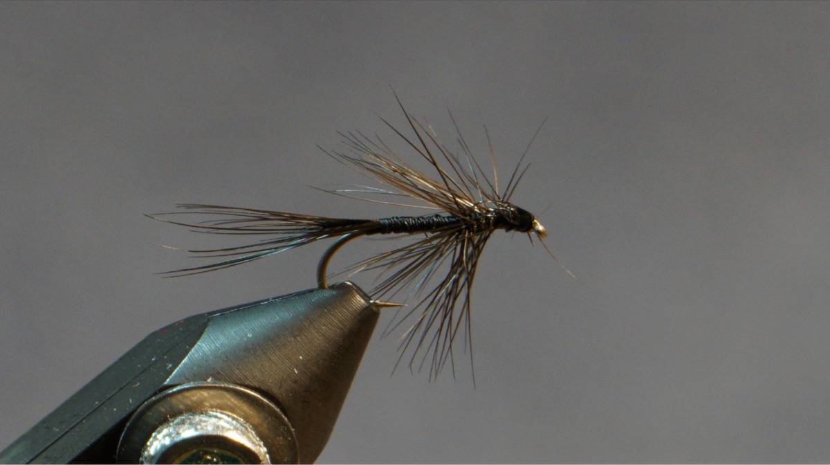 Black Midge - dry fly fly pattern tied by Christian Andrews