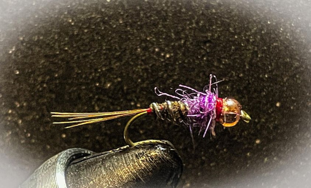 Frenchie fly pattern tied by Derrick Llewellyn