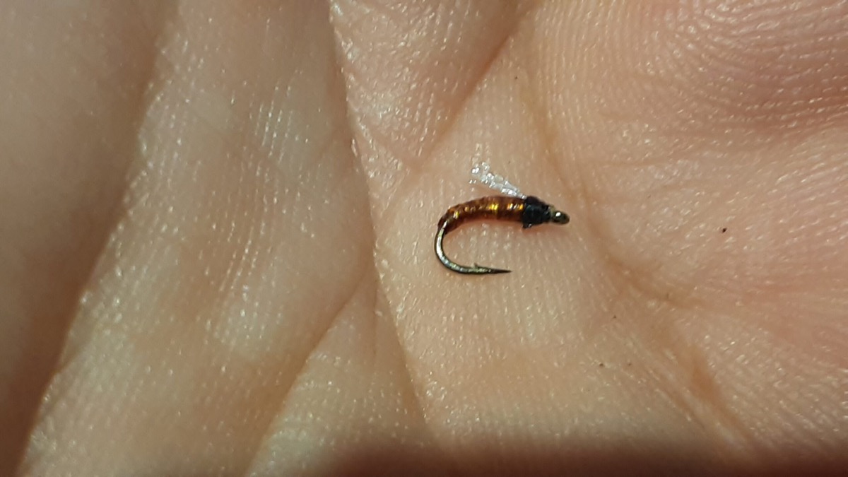 Brown holographic midge pupa fly pattern tied by Al Agelwei