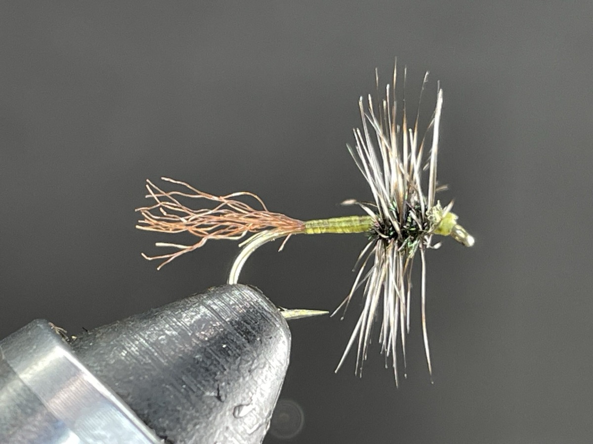 Griffiths Gnat Emerger fly pattern tied by Brent Jones