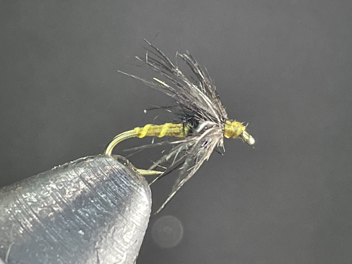 Starling and Olive fly pattern tied by Brent Jones