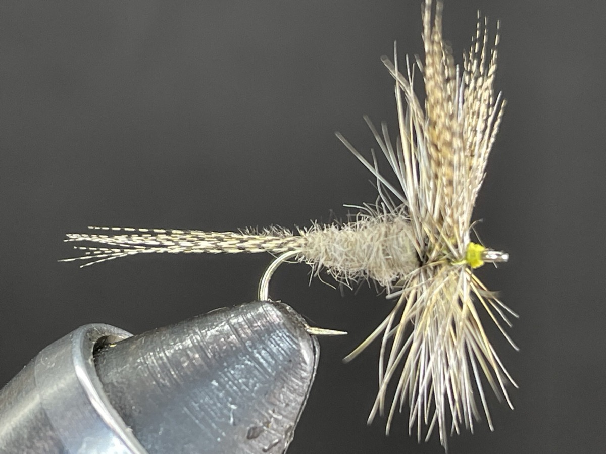 Gray Fox Variant fly pattern tied by Brent Jones