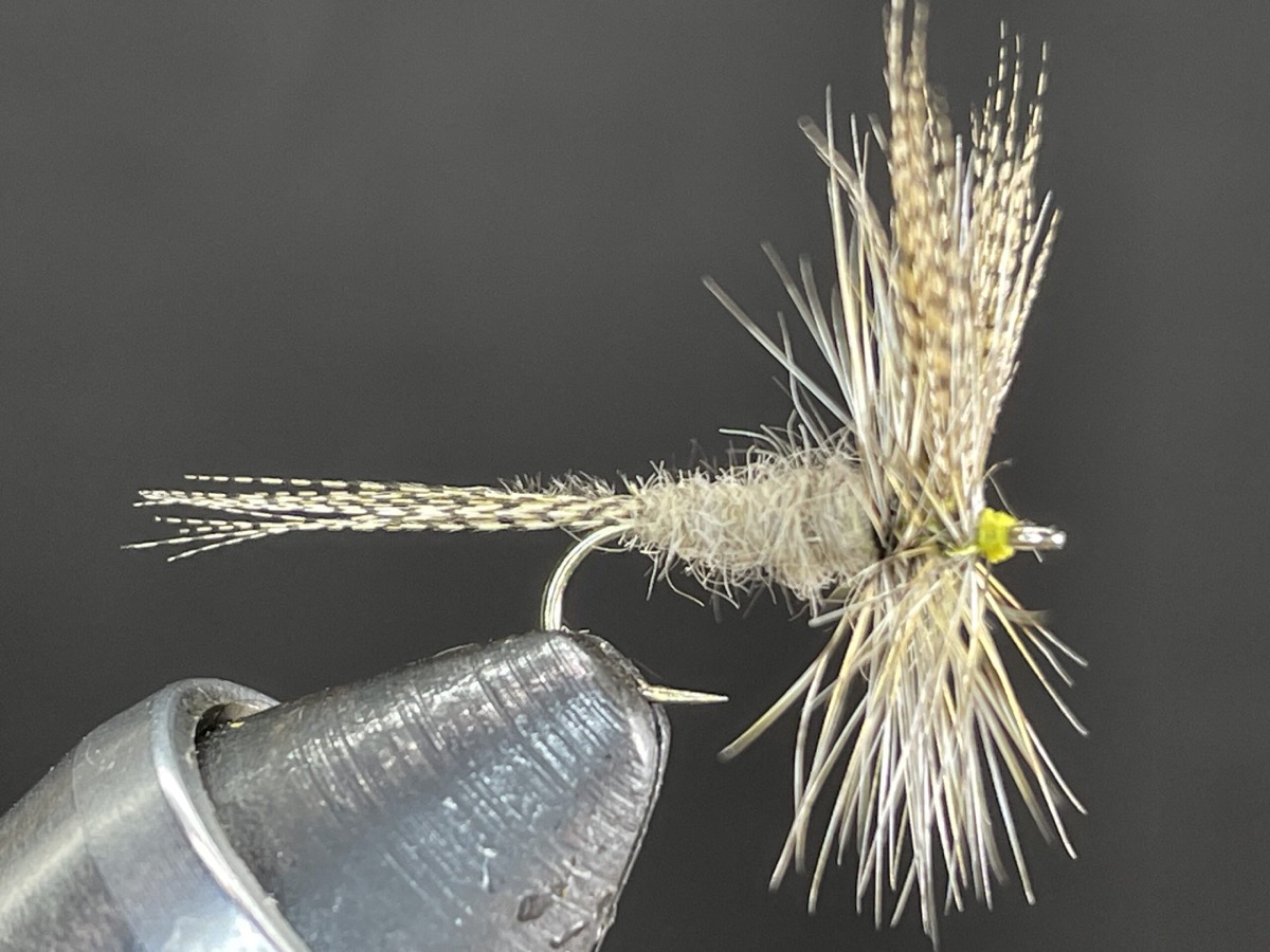 BRASSIE VARIANT fly pattern tied by Will Arrant